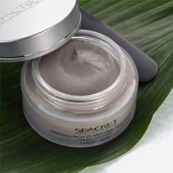 Mineral-Rich Clarifying Mud Mask